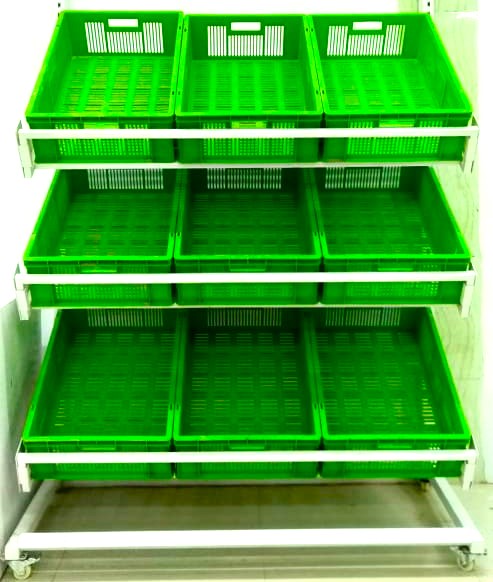 Vegetable & Fruits Display Rack